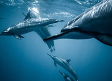 皇冠体育crown平台-星空体育下载：让每一场比赛都触手可及的超级APP